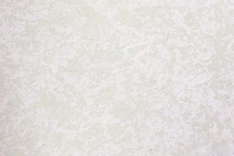 RPS005