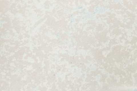 RPS006