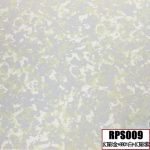 RPS009