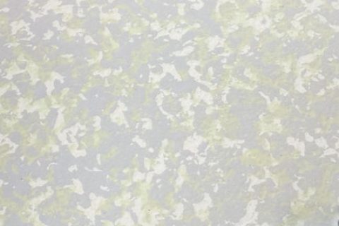RPS009