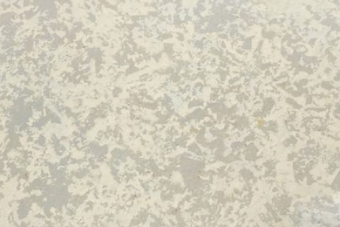 RPS011