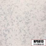RPS013