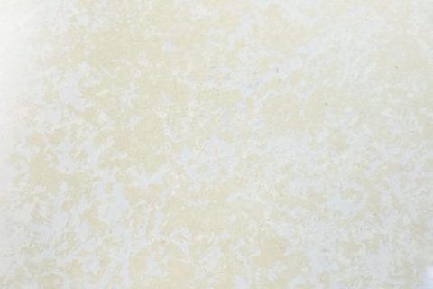 RPS015