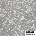 RPS017