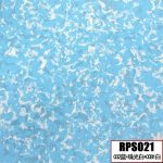 RPS021