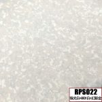 RPS022