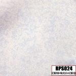 RPS024