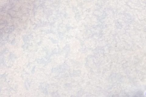 RPS024